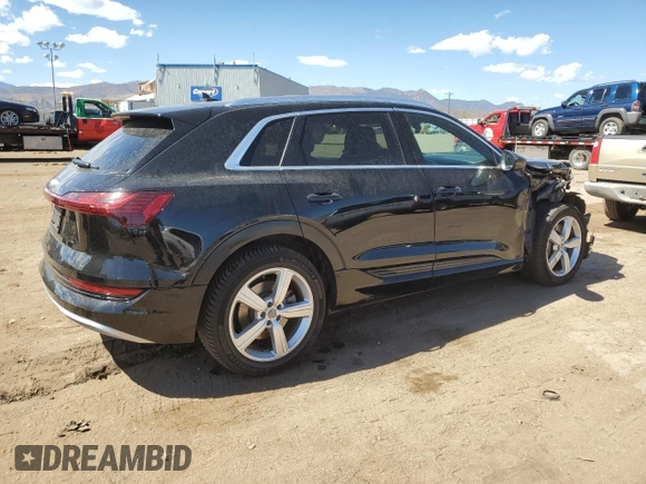 2019 Audi e-tron Premium Plus with VIN WA1LABGE6KB014901, listed as a Copart auction lot 50910225 with 46,322 mi miles and Salvage title. Bid and sale history available at DreamBid. Image 3.