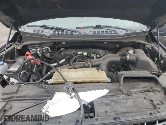 2019 Ford F-150 XL with VIN 1FTEW1CPXKFC39882, listed as a Copart auction lot 88244115 with 129,057 mi miles and Salvage Title. Bid and sale history available at carsss.com. Image 11.