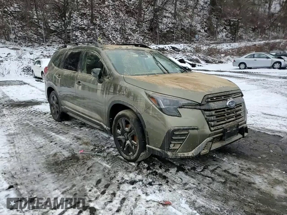 2023 Subaru Ascent Onyx with VIN 4S4WMAHD2P3454654, listed as a Copart auction lot 85914684 with Not provided miles and Salvage title. Bid and sale history available at DreamBid. Image 11.