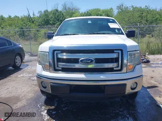 2013 Ford F-150 XL with VIN 1FTEW1CM7DFC06198, listed as a IAAI auction lot 41979746 with 197,674 mi miles. Bid and sale history available at carsss.com. Image 12.