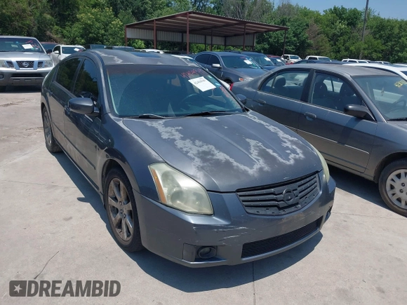 2008 Nissan Maxima SE with VIN 1N4BA41E28C833564, listed as a IAAI auction lot 42404949 with Not provided miles and . Bid and sale history available at DreamBid. Image 1.