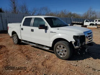 2009 Ford F-150 XL with VIN 1FTRW12869FA24540, listed as a Copart auction lot 49086015 with 184,310 mi miles and Salvage Title. Bid and sale history available at carsss.com. Image 4.