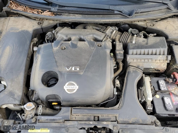 2014 Nissan Maxima 3.5 SV with VIN 1N4AA5AP9EC455984, listed as a Copart auction lot 43424865 with 124,520 mi miles and Salvage Title. Bid and sale history available at carsss.com. Image 11.