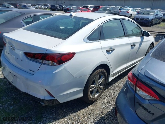 2019 Hyundai Sonata Sport with VIN 5NPE34AF1KH820438, listed as a IAAI auction lot 41353422 with 56,603 mi miles. Bid and sale history available at carsss.com. Image 4.
