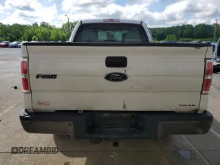 2013 Ford F-150 XL with VIN 1FTFX1EF8DKE35559, listed as a Copart auction lot 55754985 with 193,184 mi miles and Salvage title. Bid and sale history available at DreamBid. Image 6.