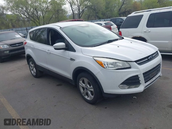 2013 Ford Escape SE with VIN 1FMCU9G98DUD55700, listed as a IAAI auction lot 42035531 with 189,010 mi miles. Bid and sale history available at carsss.com. Image 1.