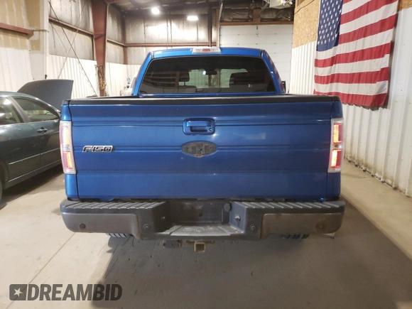 2009 Ford F-150 XL with VIN 1FTPW14V09KB58851, listed as a Copart auction lot 60174025 with 209,055 mi miles and Clean title. Bid and sale history available at DreamBid. Image 6.