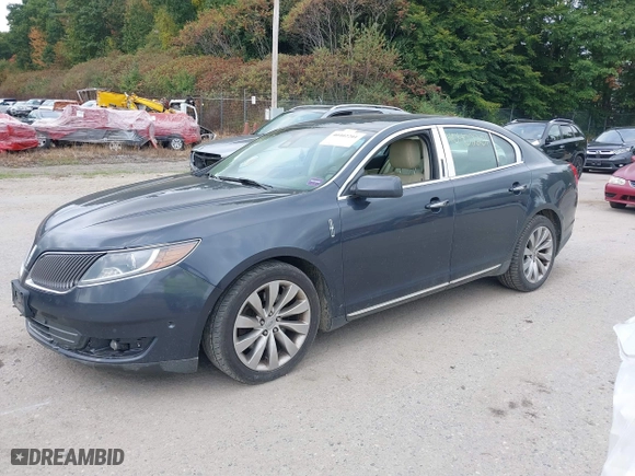 2013 Lincoln MKS with VIN 1LNHL9EK3DG613330, listed as a IAAI auction lot 40402201 with 193,495 mi miles. Bid and sale history available at carsss.com. Image 17.