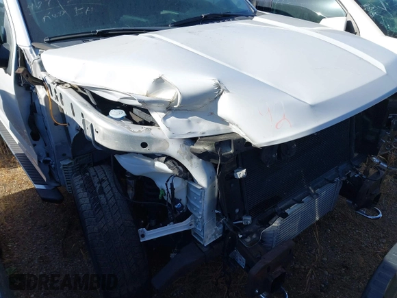2019 Ford F-150 XL with VIN 1FTEW1EP7KFC62954, listed as a IAAI auction lot 27603731 with 14 mi miles and . Bid and sale history available at DreamBid. Image 13.