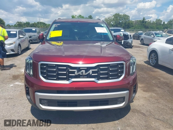 2023 Kia Telluride SX X-Pro with VIN 5XYP5DGC9PG384453, listed as a IAAI auction lot 42556697 with 4,641 mi miles and . Bid and sale history available at DreamBid. Image 13.