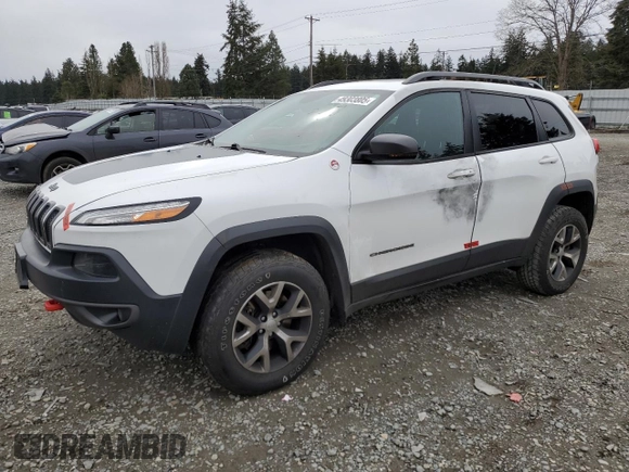 2017 Jeep Cherokee Trailhawk L Plus with VIN 1C4PJMBS3HD237118, listed as a Copart auction lot 49303805 with 120,581 mi miles and Salvage Title. Bid and sale history available at carsss.com. Image 1.