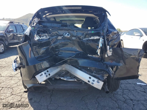 2020 Lexus NX with VIN JTJGARBZ9L5015614, listed as a Copart auction lot 45599975 with NaN miles and Salvage Title. Bid and sale history available at carsss.com. Image 6.