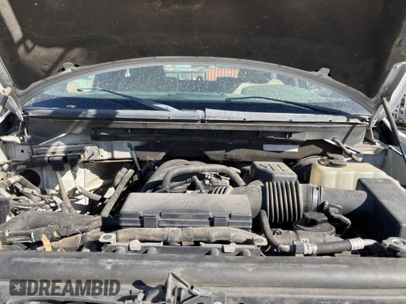 2009 Ford F-150 XL with VIN 1FTRF12849KB67641, listed as a Copart auction lot 77224334 with 314,994 mi miles and Clean Title. Bid and sale history available at carsss.com. Image 7.
