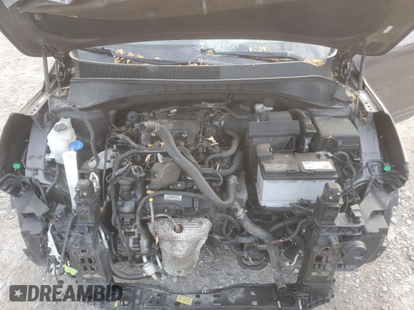 2019 Kia Sorento EX V6 with VIN 5XYPHDA51KG509343, listed as a Copart auction lot 77190244 with 146,620 mi miles and Non Repairable. Bid and sale history available at carsss.com. Image 12.