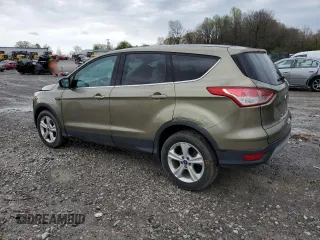 2014 Ford Escape SE with VIN 1FMCU0GX2EUA44369, listed as a Copart auction lot 51190805 with 117,975 mi miles and Salvage Title. Bid and sale history available at carsss.com. Image 2.