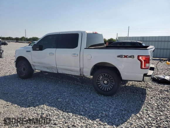 2016 Ford F-150 XLT with VIN 1FTEW1EP3GFC13385, listed as a Copart auction lot 53094115 with 136,272 mi miles and Salvage Title. Bid and sale history available at carsss.com. Image 2.
