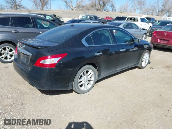 2010 Nissan Maxima 3.5 SV with VIN 1N4AA5AP4AC803636, listed as a IAAI auction lot 41796020 with 253,237 mi miles. Bid and sale history available at carsss.com. Image 4.
