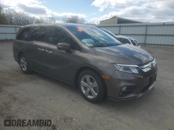 2019 Honda Odyssey EX-L with VIN 5FNRL6H73KB137053, listed as a Copart auction lot 53094245 with 38,081 mi miles and Salvage Title. Bid and sale history available at carsss.com. Image 4.