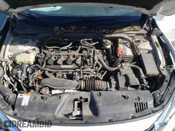2017 Honda Civic Sedan EX-L with VIN 2HGFC1F78HH647864, listed as a Copart auction lot 48497645 with 185,849 mi miles and Clean Title. Bid and sale history available at carsss.com. Image 11.