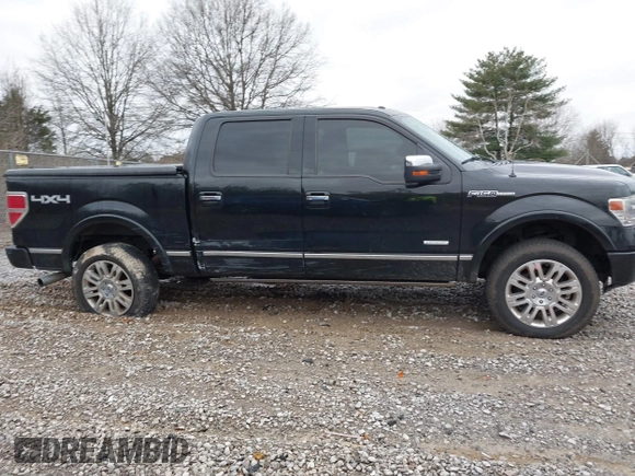 2013 Ford F-150 XL with VIN 1FTFW1ET5DFA49957, listed as a IAAI auction lot 41734397 with 265,121 mi miles. Bid and sale history available at carsss.com. Image 13.