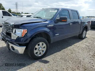 2011 Ford F-150 XLT with VIN 1FTFW1CT4BFC70188, listed as a Copart auction lot 65675065 with 119,983 mi miles and Salvage title. Bid and sale history available at DreamBid. Image 1.