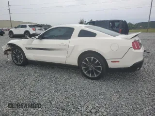 2011 Ford Mustang GT z VIN 1ZVBP8CF9B5161081, wystawiony jako Copart lot #56040145 z przebiegiem Nie podano mil oraz Szkoda całkowita • Salvage title. Historia ofert i sprzedaży dostępna na DreamBid. Obrazek 2.