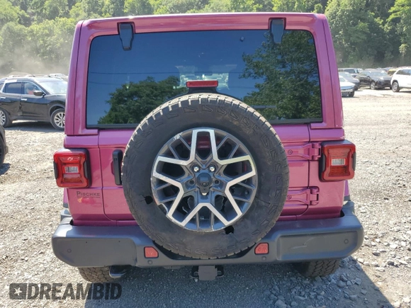 2024 Jeep Wrangler Sahara with VIN 1C4PJXEG8RW336631, listed as a Copart auction lot 62526235 with Not provided miles and Salvage title. Bid and sale history available at DreamBid. Image 6.