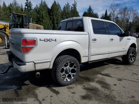 2013 Ford F-150 XL with VIN 1FTFW1ET0DFE06316, listed as a Copart auction lot 50223305 with 167,263 mi miles and Salvage Title. Bid and sale history available at carsss.com. Image 3.