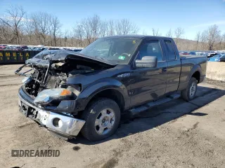 2014 Ford F-150 XL with VIN 1FTFX1EF6EFA18208, listed as a Copart auction lot 46370475 with 161,619 mi miles and Salvage Title. Bid and sale history available at carsss.com. Image 1.