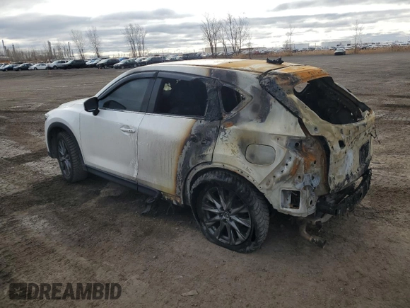 2019 Mazda CX-5 Signature with VIN JM3KFBEY1K0543983, listed as a Copart auction lot 81364304 with 0 mi miles and Non Repairable. Bid and sale history available at carsss.com. Image 2.