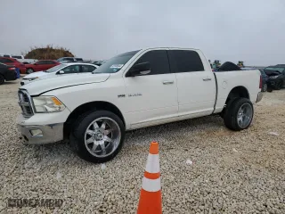 2009 Dodge Ram 1500 SLT with VIN 1D3HB13T19S703530, listed as a Copart auction lot 82900644 with 0 mi miles and Clean Title. Bid and sale history available at carsss.com. Image 1.