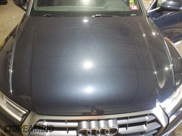 2019 Audi Q5 Premium with VIN WA1ANAFY3K2115878, listed as a Copart auction lot 46047055 with 58,089 mi miles and Salvage Title. Bid and sale history available at carsss.com. Image 12.