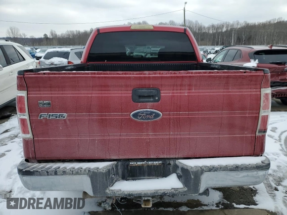 2010 Ford F-150 XL with VIN 1FTEW1C85AFD23115, listed as a Copart auction lot 45932545 with 193,965 mi miles and Salvage Title. Bid and sale history available at carsss.com. Image 6.