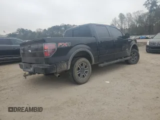 2013 Ford F-150 XL with VIN 1FTFW1ET4DKF46019, listed as a Copart auction lot 48988855 with 170,141 mi miles and Salvage Title. Bid and sale history available at carsss.com. Image 3.