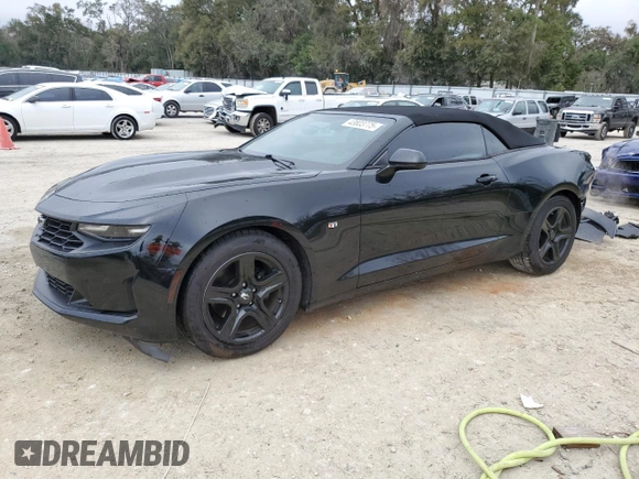 2019 Chevrolet Camaro 1LT with VIN 1G1FB3DS1K0128647, listed as a Copart auction lot 43803775 with 96,977 mi miles and Non Repairable. Bid and sale history available at carsss.com. Image 1.