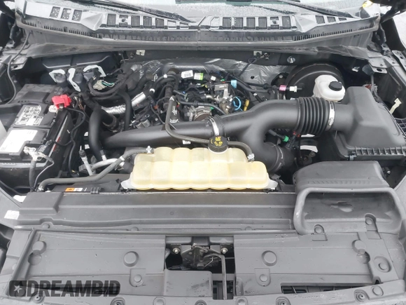 2019 Ford F-150 XL with VIN 1FTEW1CP8KKE94974, listed as a IAAI auction lot 41864485 with 114,893 mi miles and . Bid and sale history available at DreamBid. Image 10.