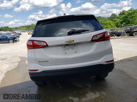 2021 Chevrolet Equinox LS with VIN 3GNAXFEV8MS173102, listed as a Copart auction lot 55698654 with 47,046 mi miles and Salvage title. Bid and sale history available at DreamBid. Image 6.