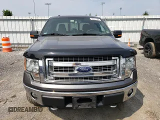 2013 Ford F-150 XL with VIN 1FTFX1EF8DKD72110, listed as a Copart auction lot 58377165 with 58,507 mi miles and Salvage title. Bid and sale history available at DreamBid. Image 5.