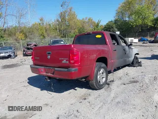 2009 Dodge Dakota SXT with VIN 1D7HE38K59S719263, listed as a IAAI auction lot 40661314 with Not Provided miles and . Bid and sale history available at DreamBid. Image 4.