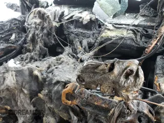 2018 Chevrolet Suburban LT z VIN 1GNSKHKC9JR262273, wystawiony jako Copart lot #51970175 z przebiegiem Nie podano mil oraz Szkoda całkowita • Salvage title. Historia ofert i sprzedaży dostępna na DreamBid. Obrazek 8.
