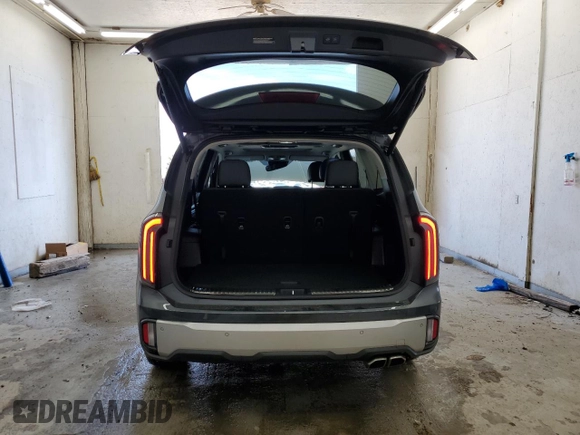 2024 Kia Telluride SX X-Line with VIN 5XYP5DGC8RG419163, listed as a Copart auction lot 48467455 with 31,089 mi miles and Salvage Title. Bid and sale history available at carsss.com. Image 6.