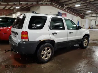 2006 Ford Escape XLT with VIN 1FMYU03Z76KC14011, listed as a Copart auction lot 79539204 with 239,785 mi miles and Clean Title. Bid and sale history available at carsss.com. Image 3.