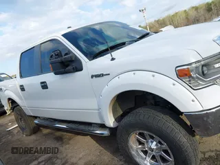 2013 Ford F-150 XL with VIN 1FTFW1EFXDFD00367, listed as a IAAI auction lot 41791175 with 165,150 mi miles and . Bid and sale history available at DreamBid. Image 14.