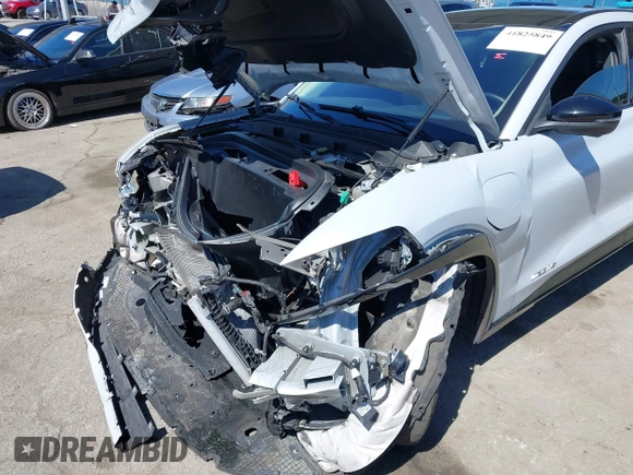 2021 Ford Mustang Mach-E Premium with VIN 3FMTK3RM5MMA60868, listed as a IAAI auction lot 41825849 with 60,119 mi miles and . Bid and sale history available at DreamBid. Image 6.