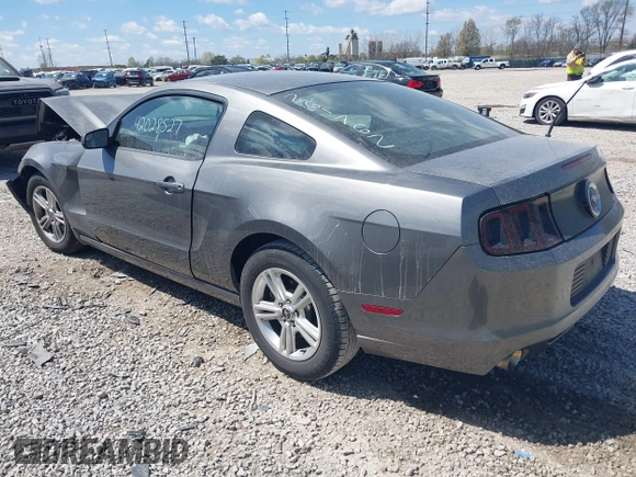 2013 Ford Mustang V6 с VIN 1ZVBP8AM1D5261762, выставлен на аукционе IAAI как лот 42028527 с пробегом 113 224 миль миль и . История ставок и продаж доступна на DreamBid. Изображение 3.