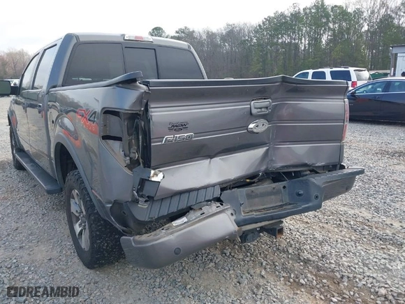 2013 Ford F-150 XL with VIN 1FTFW1ET5DKG19379, listed as a IAAI auction lot 41773593 with 270,638 mi miles. Bid and sale history available at carsss.com. Image 6.