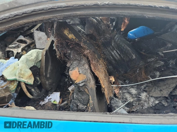 2017 Ford Mustang GT with VIN 1FA6P8CF1H5203696, listed as a Copart auction lot 63377405 with Not provided miles and Salvage title. Bid and sale history available at DreamBid. Image 7.