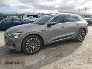 2019 Audi e-tron Prestige with VIN WA1VABGE6KB013000, listed as a Copart auction lot 46866995 with 54,469 mi miles and Salvage Title. Bid and sale history available at carsss.com. Image 1.