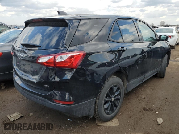 2019 Chevrolet Equinox LS with VIN 3GNAXSEVXKL253145, listed as a Copart auction lot 50736655 with 46,456 mi miles and Salvage Title. Bid and sale history available at DreamBid. Image 3.