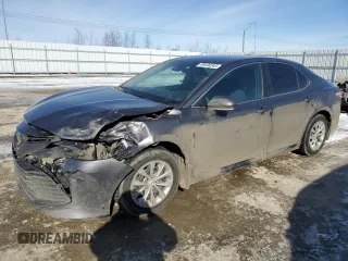 2020 Toyota Camry LE with VIN 4T1C11AK7LU358902, listed as a Copart auction lot 49436245 with 251,063 mi miles and Salvage Title. Bid and sale history available at carsss.com. Image 1.